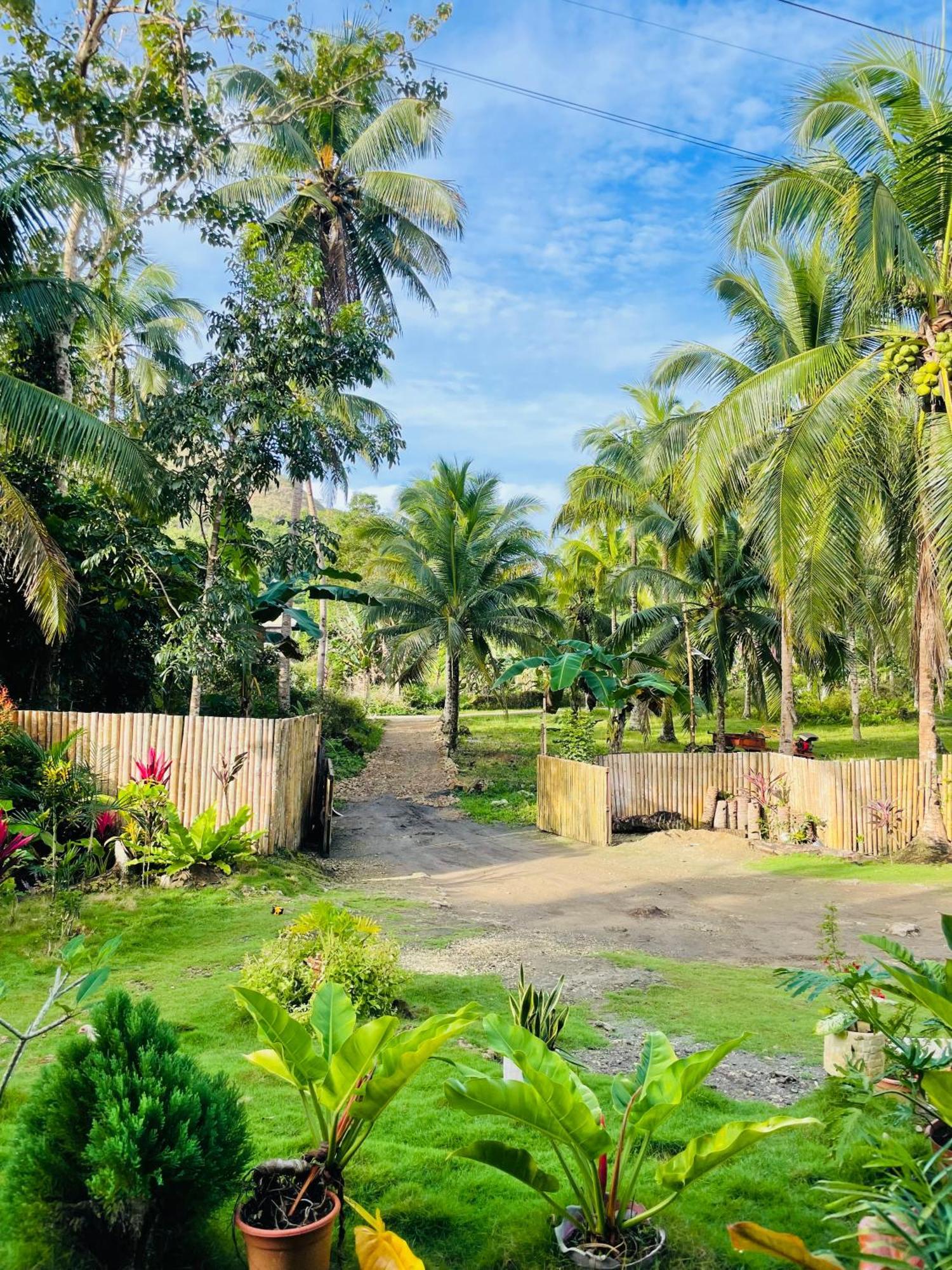 Casa Aguelo Chocolate Hills Bed and Breakfast Carmen  Εξωτερικό φωτογραφία