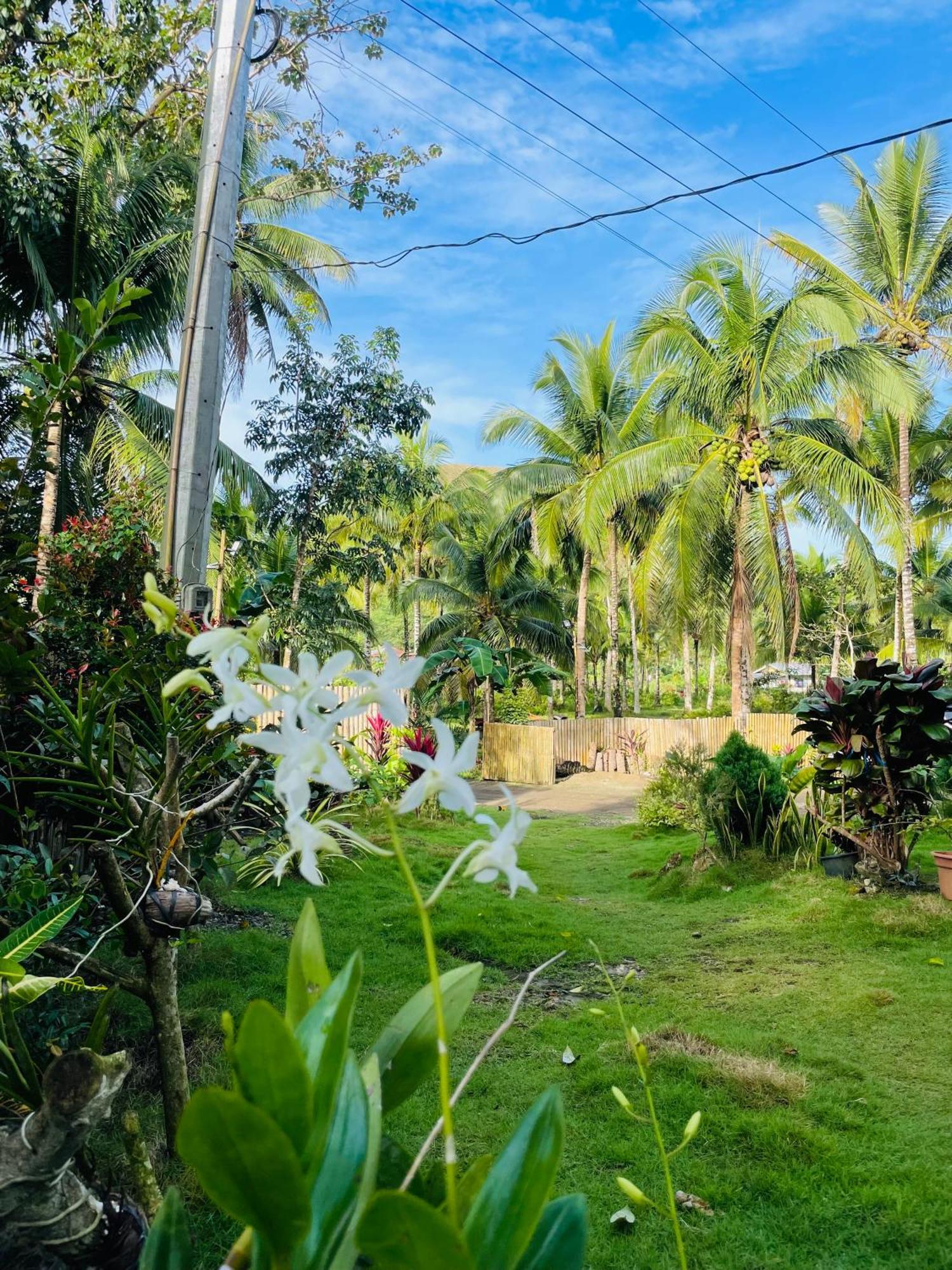 Casa Aguelo Chocolate Hills Bed and Breakfast Carmen  Εξωτερικό φωτογραφία